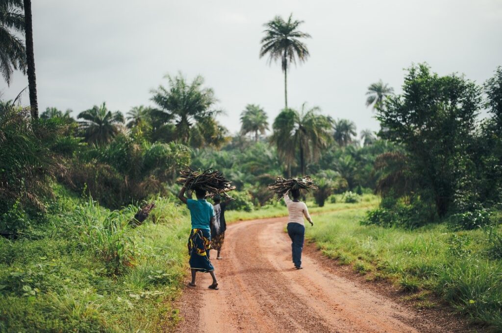 Three people holding bundles atop their heads walk along a dirt road in a tropical, rural location.